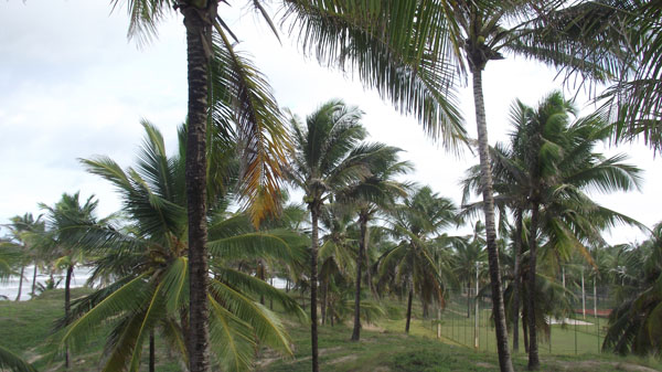 18 anos jeep clube (41)