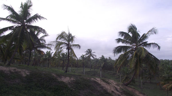 18 anos jeep clube (43)