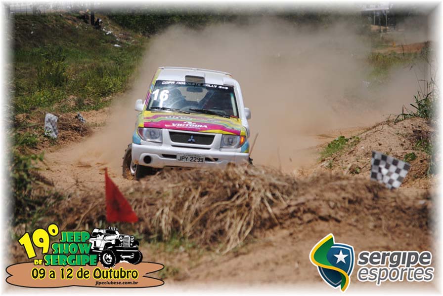 Brasileiro4x4 (123)